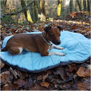 Henry Wag Henry Wag Alpine Travel Snuggle Bed – One Size